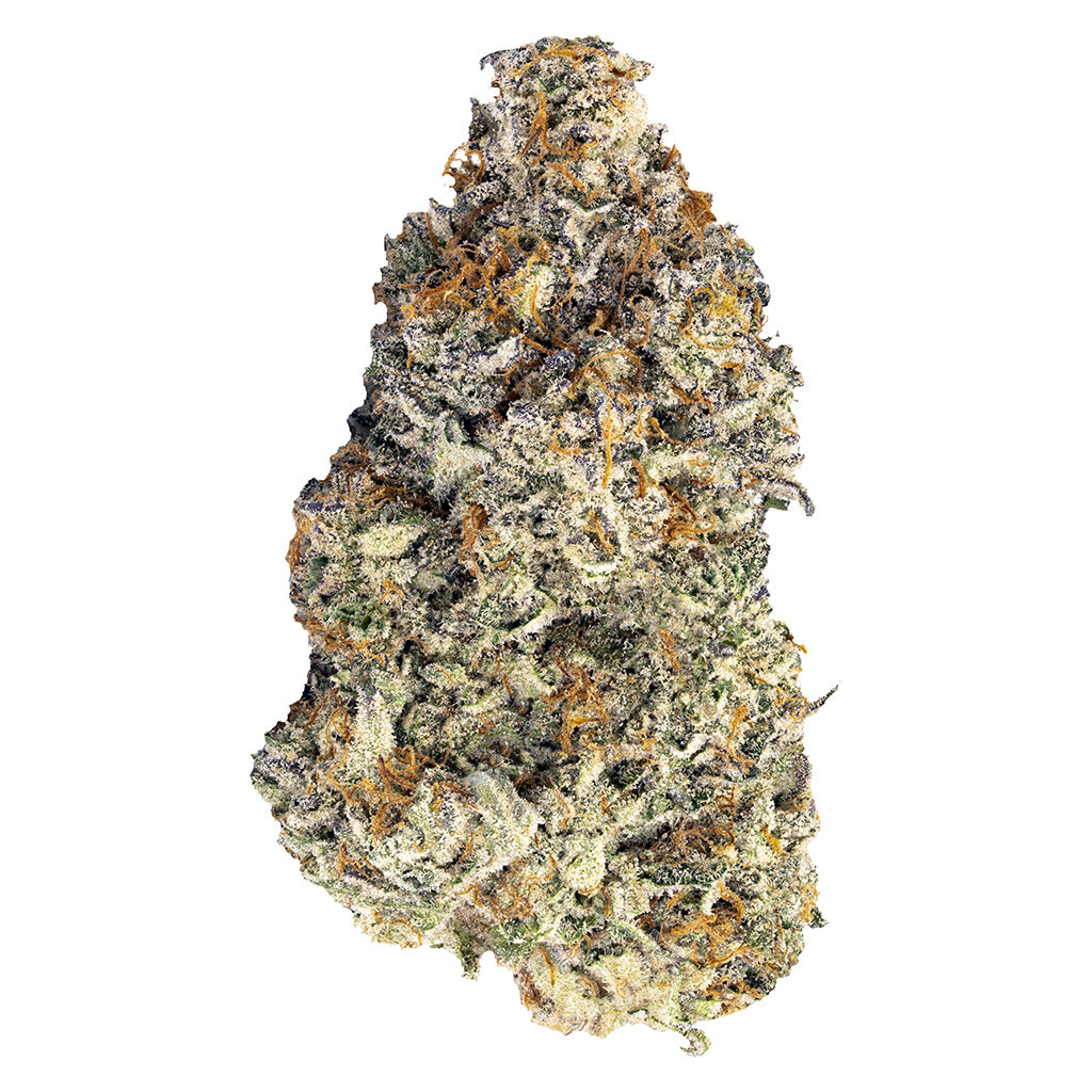 Blkmkt - Britscotti - 7G