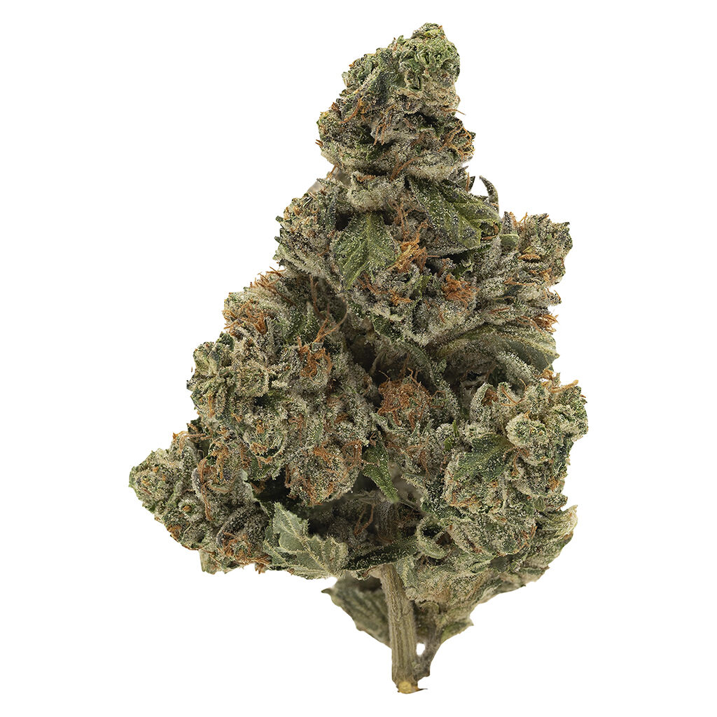 Simply Bare : BC Organic Kraken