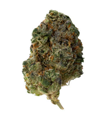 The Loud Plug : Waffle Cone