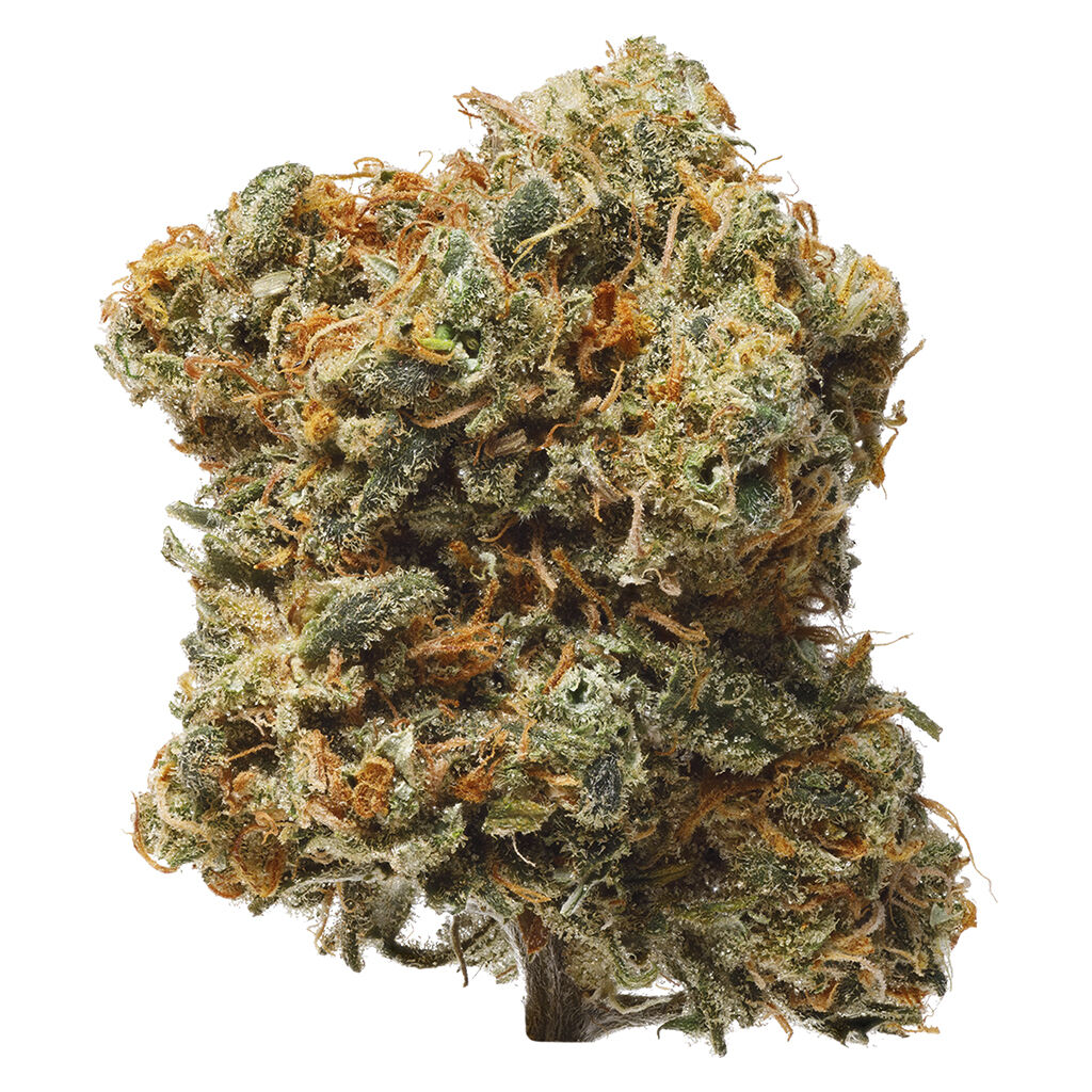 1964 : Blue Dream