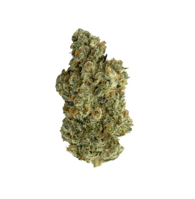 All Nations : Frosted Gelato