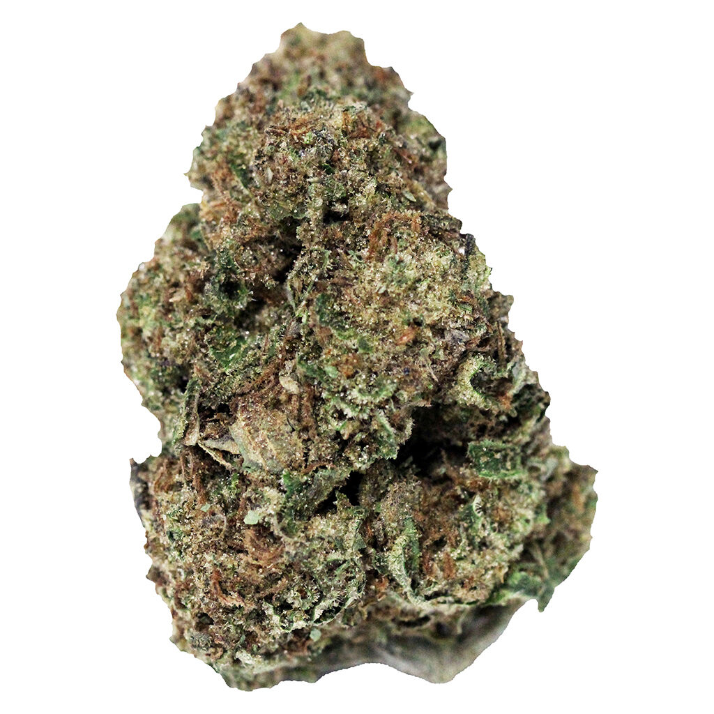 Jonny Chronic : Northern Lights