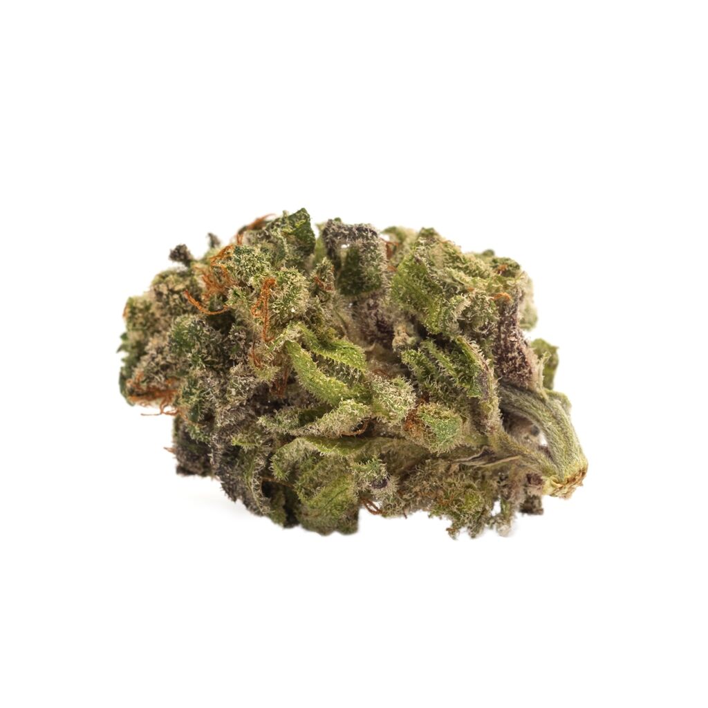 TWD : TWD SATIVA