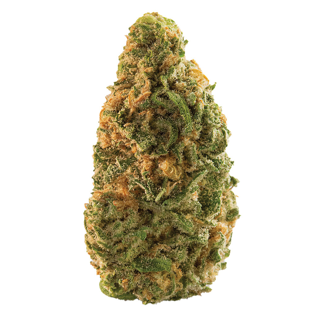 Spinach : Blue Dream