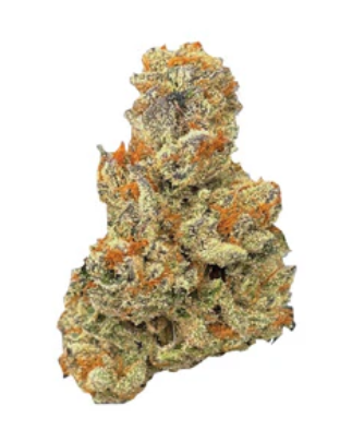 Bc Green : Pink Certz