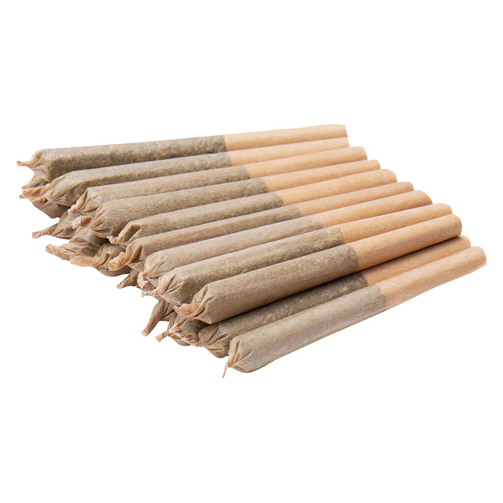 Versus - Bc Purple Kush Jar Of Js Pre-Rolls - Indica 7G