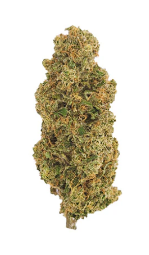 Victoria Cannabis Company : Pomelo Skunk