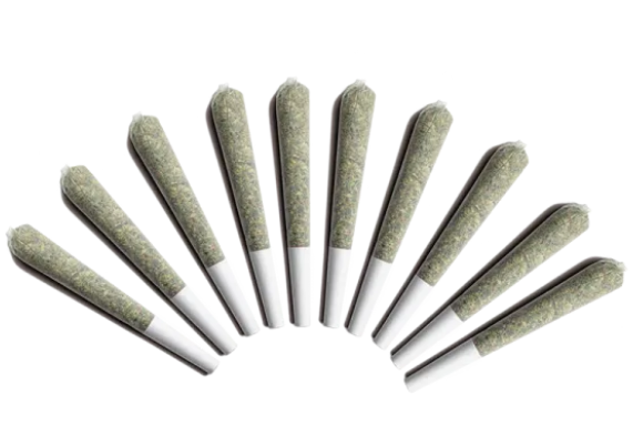 Choklit Park : Sapphire Frost Pre-Rolls (10x0.5g)