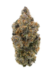Greenade : Tropical Skunk