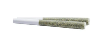 Royal Harvest Craft Cannabis : Red Velvet R Pre-Rolls (2x1g)
