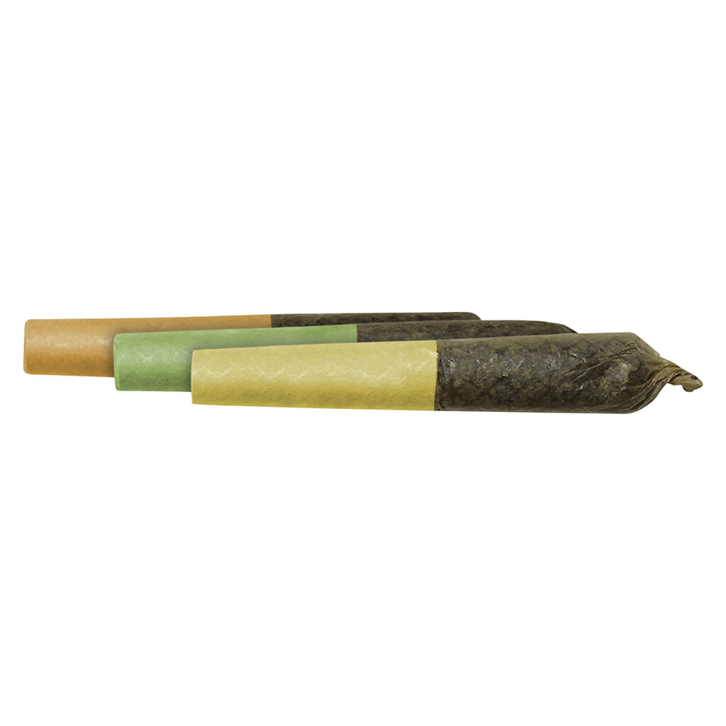 Dab Bods : CITRUS SPECIAL RESIN INFUSED PRE-ROLL VARIETY PACK - CITRUS SPECIAL RESIN INFUSED PRE-ROLL VARIETY PACK (3x.5g)