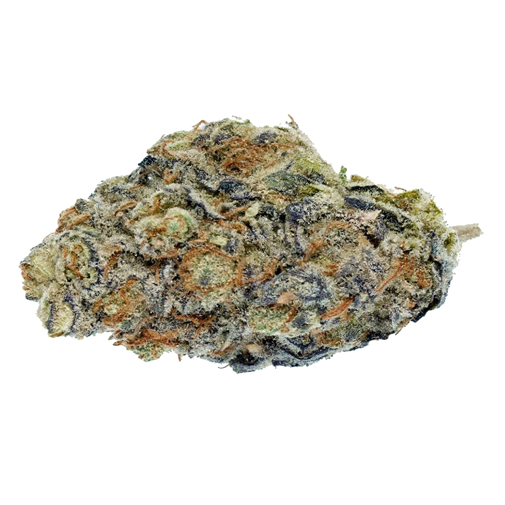 WAGNERS : PURPLE CLEMENTINE