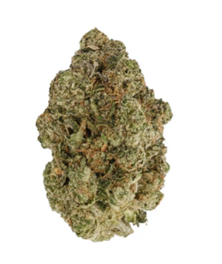 Back Forty : Fire Breath