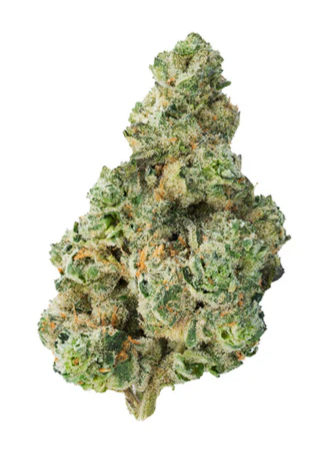The Loud Plug : Jet Fuel Pie