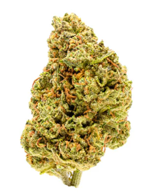 Palmetto : Goldberry