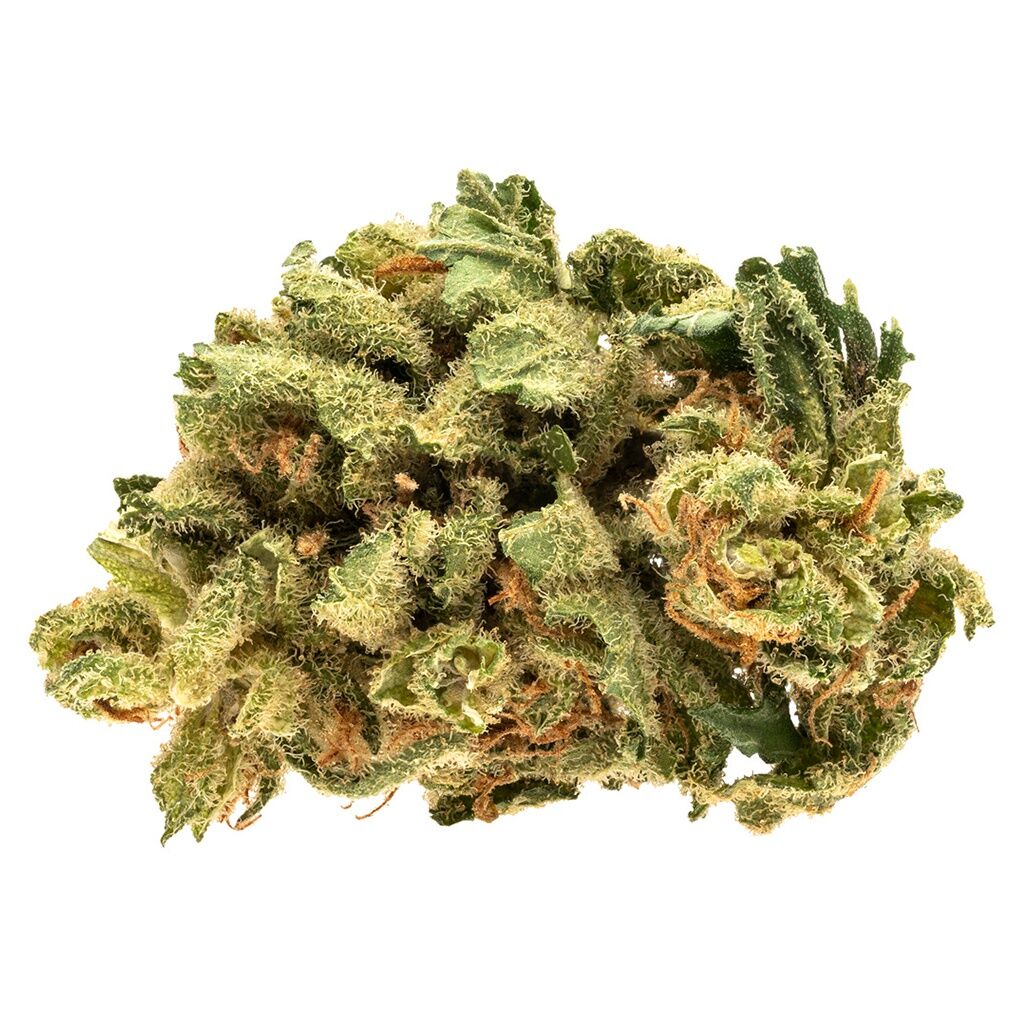 Good Supply - Starwalker Kush -  Indica 28G