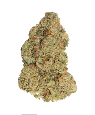 Carmel : M.Tai X Jungle Cake