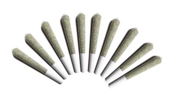 Choklit Park : Moon Puppies Pre-Rolls (10pk)
