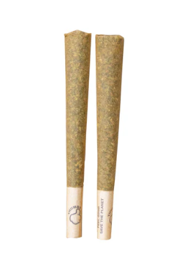 Thumbs Up : Hybrid Pre-Rolls (2pk)
