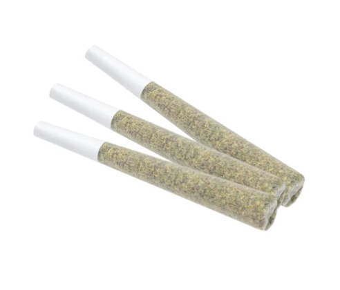 Terra Farms : Zesty Parm Pre-Rolls (3pk)