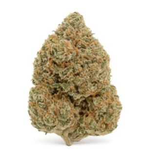 Fort 20 Farms Inc : Bubba Kush (14g)