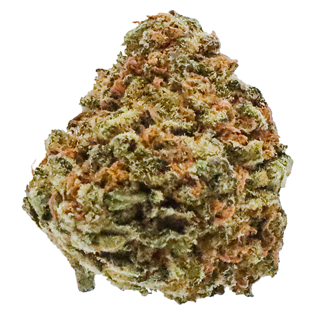 POTLUCK : BANANA CREAM