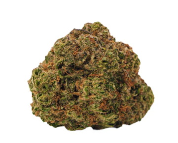 Bold : Cool Aid Kush