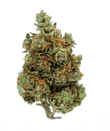 FORT 20 FARMS INC. BUBBA KUSH SMALLS (3.5g)