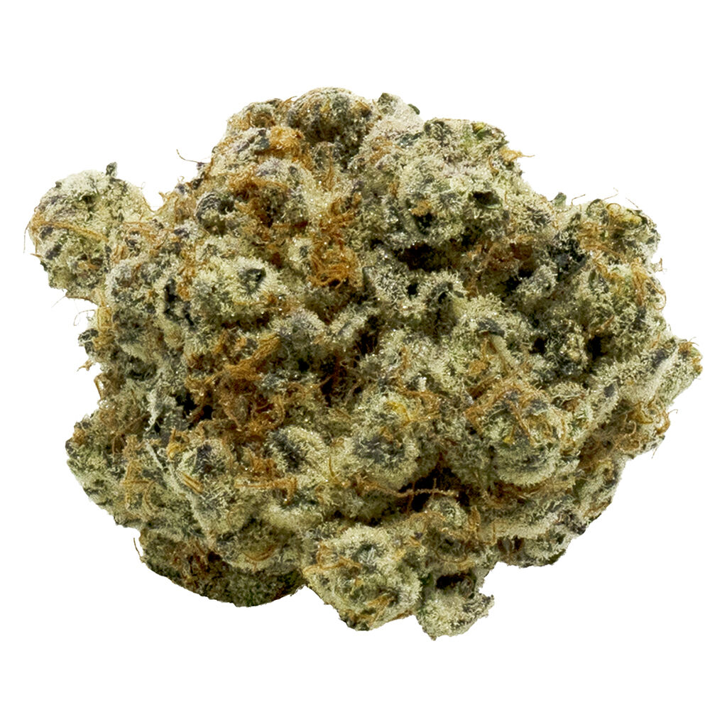 DOJA : OG DELUXE