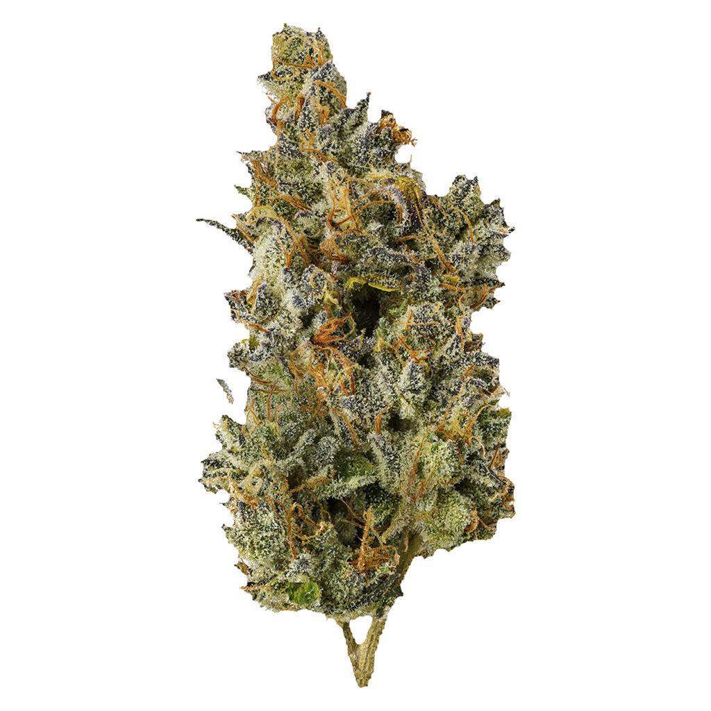 Top Leaf - Nakatomi Plaza - 7G