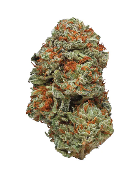 Station House : La Confidential
