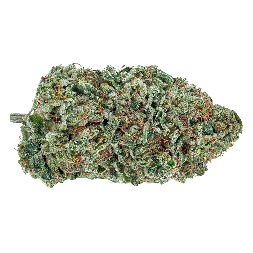 Highly Dutch Organic - Rotterdam Indica - 7G