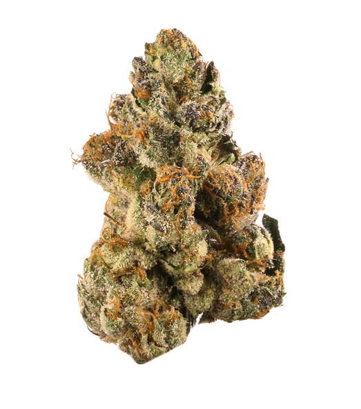 Rogworld : Bong Guru Rockstar