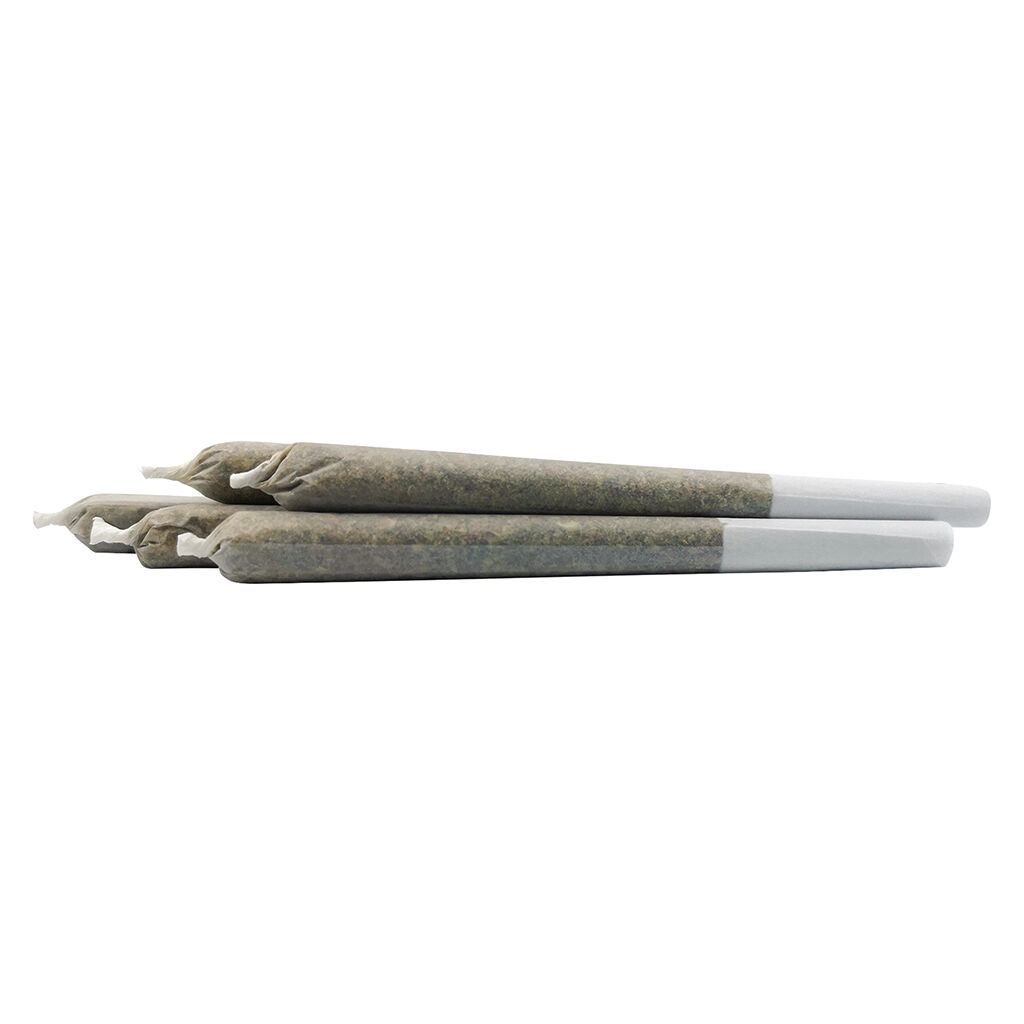 Bc Black : Blueberry Frost Pre-Roll (2.5g)