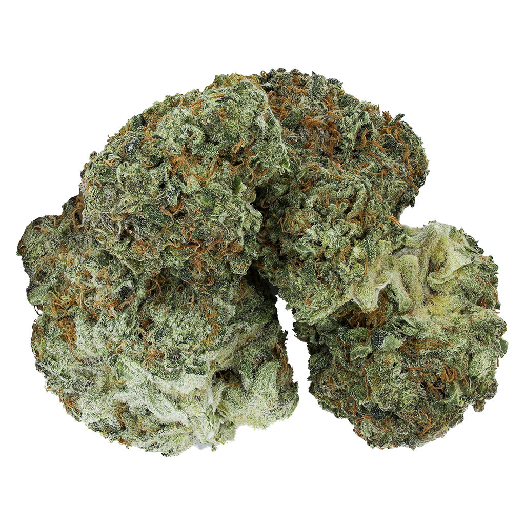 GREENSEAL : GORILLA BERRY