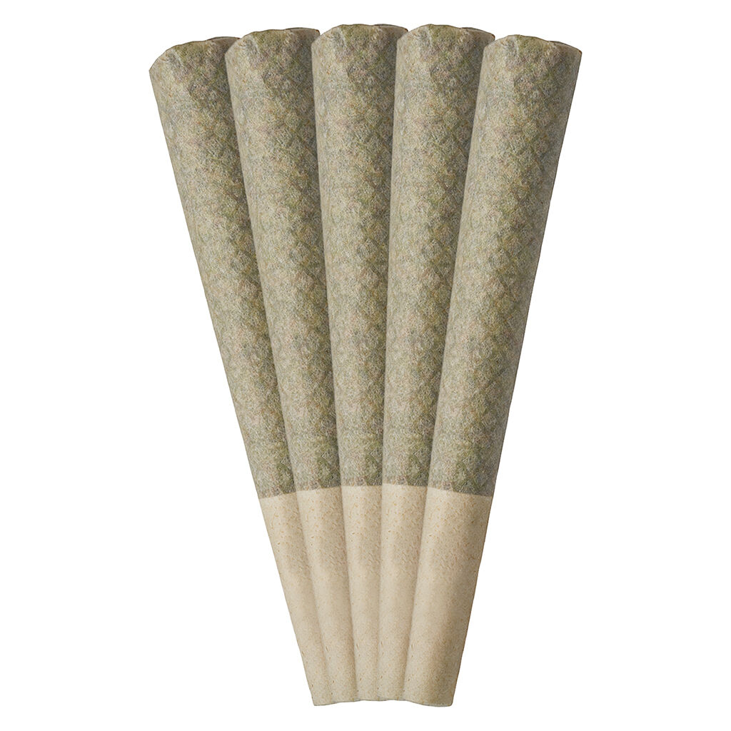 Tribal : Neon Sunshine Pre-Rolls (5x0.6g)