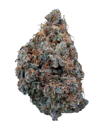 Sweetgrass Cannabis : Organic Divine Intervention Lto