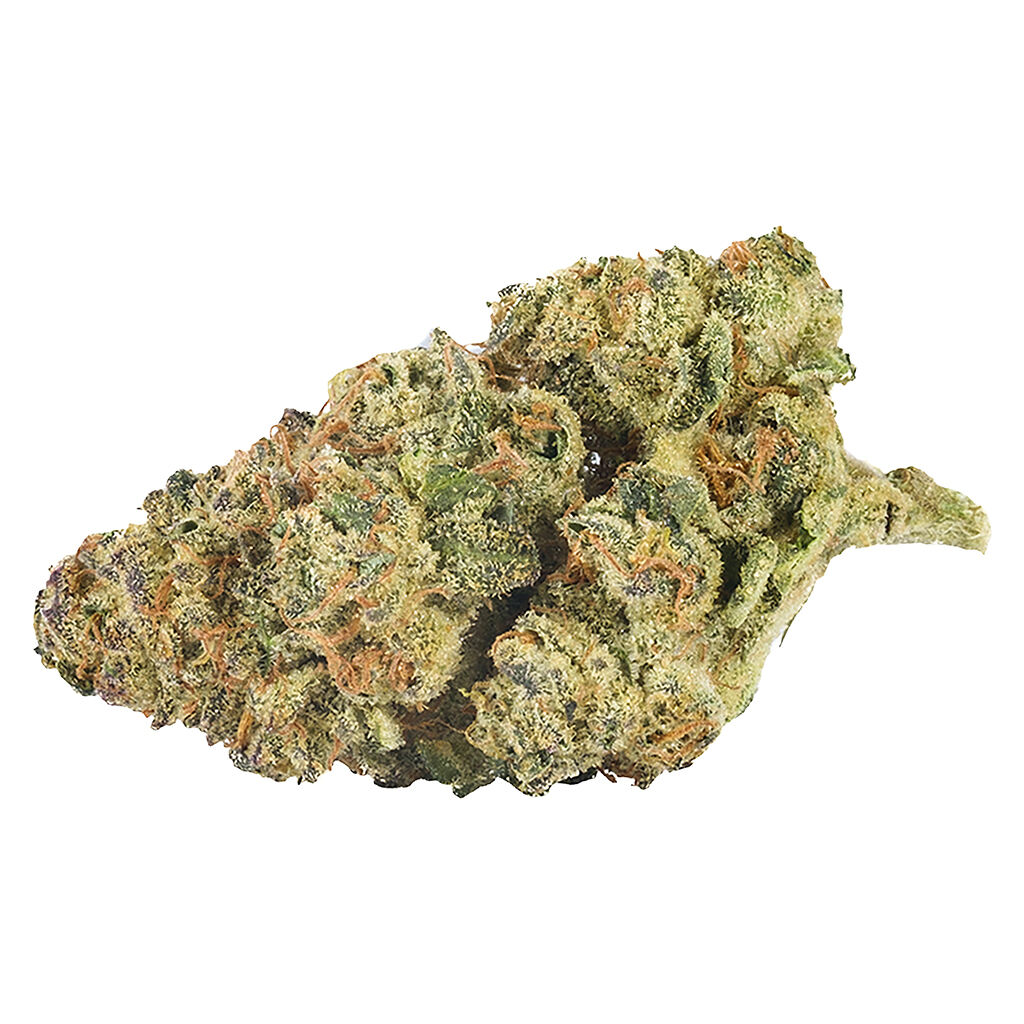 Back Forty - Mandarin Cookies -  Sativa 7G