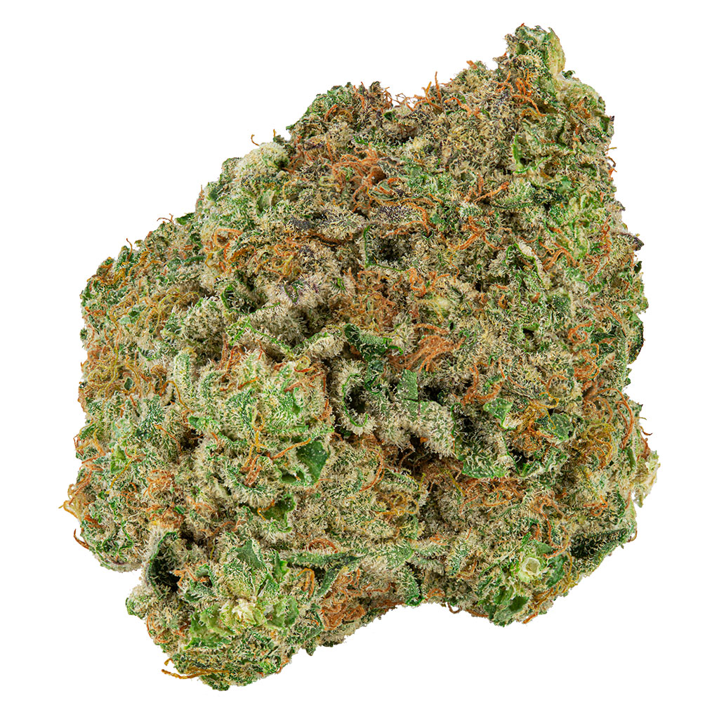 BIG BAG O' BUBDS : DOUGH LATO (DOLATO X MOONBEAM )