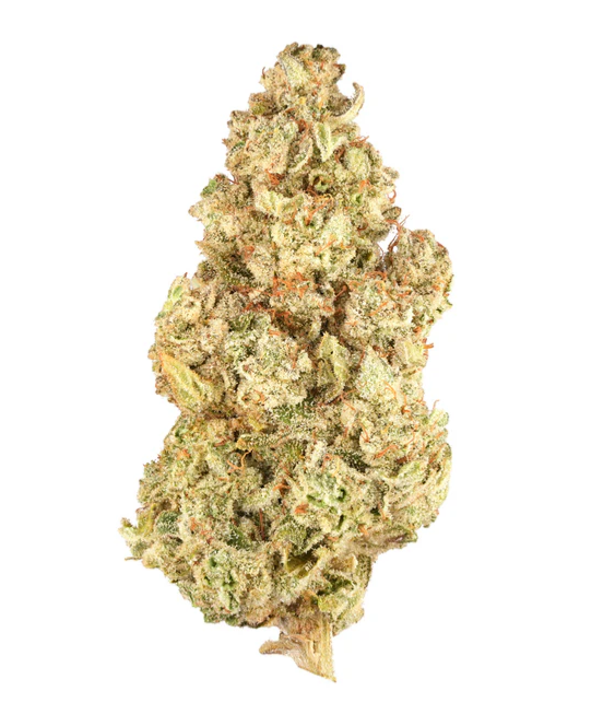 Simply Bare : BC Organic Lemon Loopz Lto