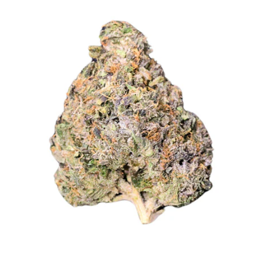 Fort 20 Farms : Bc Key Moh Kush