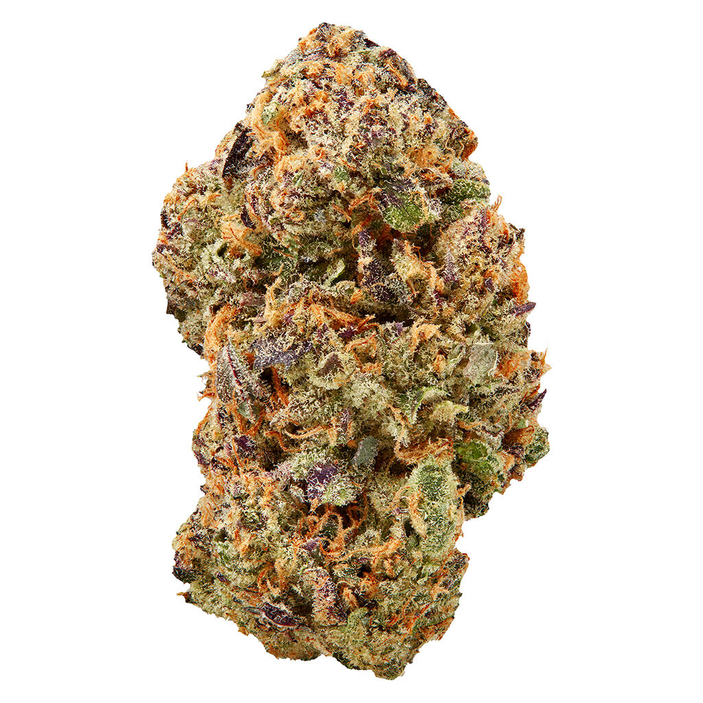 Tenzo - Watermelon Mojo Zktlz Lto - 7G
