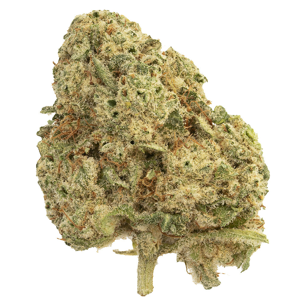 The Loud Plug : Milk Cake