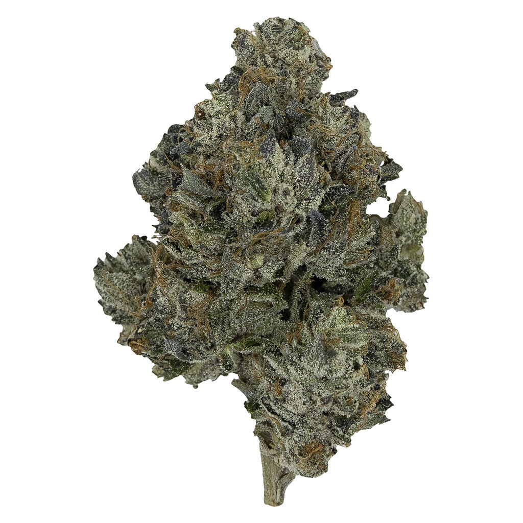 Pistol And Paris : Death Bubba