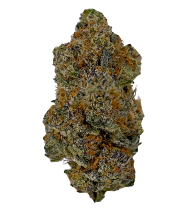 Cappellano Cannabis Co. - Organic (Lso) Maple Blizzard