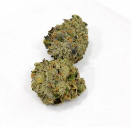 SaltSpring Magic : Timmy's OG Shark Smalls