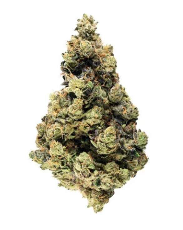 Broken Coast : Ruxton