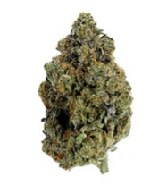Cake & Caviar - Platinum Caviar Lto