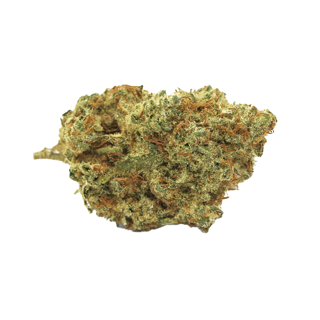 Wildlife Cannabis - Sun County Kush - Hybrid 3.5G