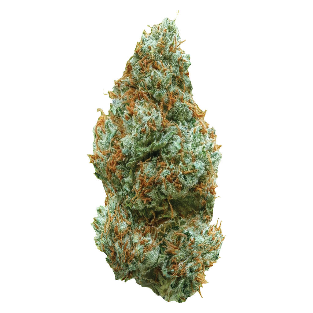 ALL NATIONS : LEMON TARTZ
